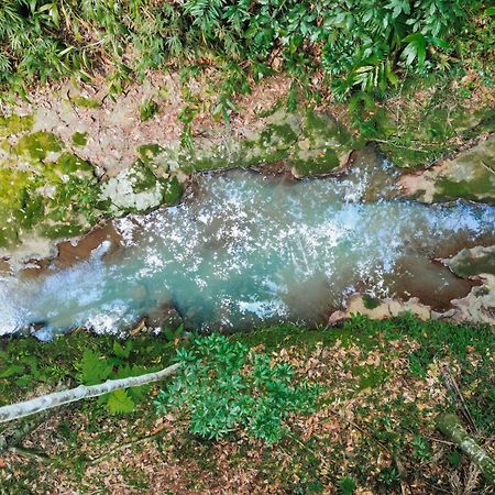 Narrows Escape Rainforest Retreat Montville Ngoại thất bức ảnh