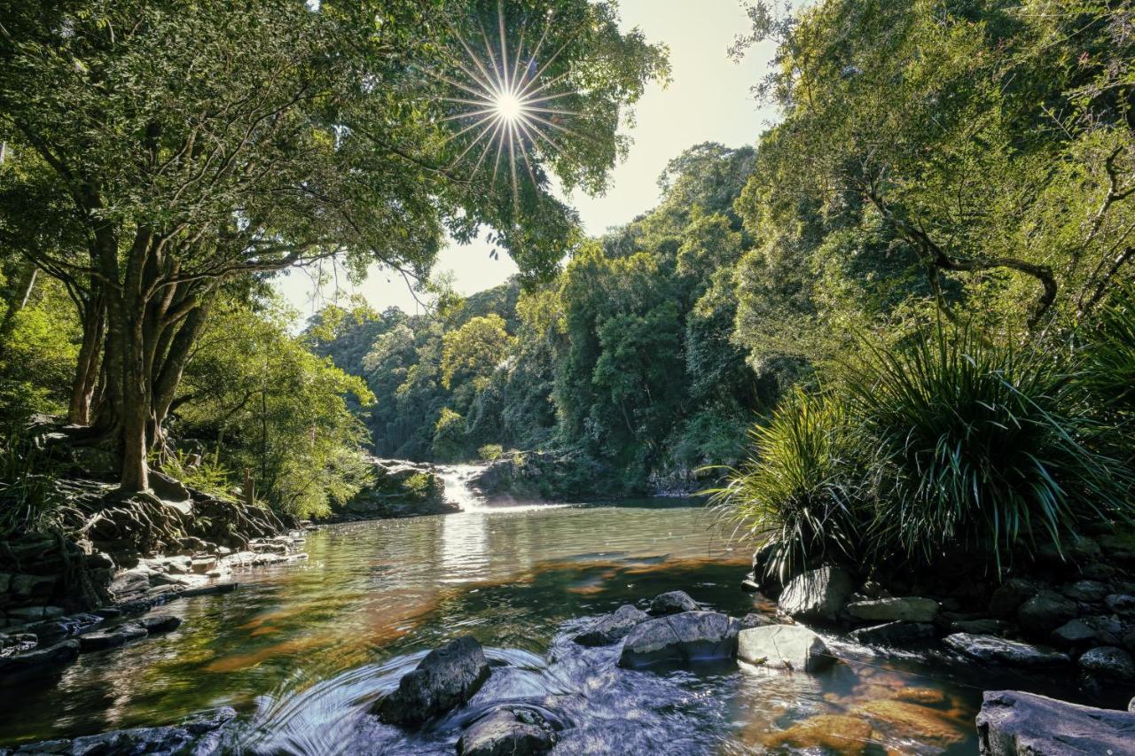 Narrows Escape Rainforest Retreat Montville Ngoại thất bức ảnh