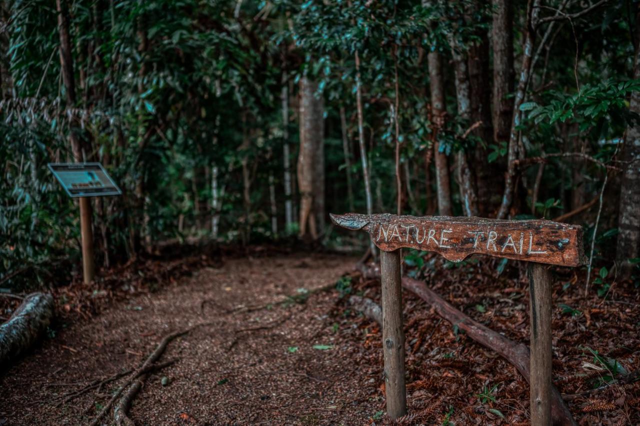 Narrows Escape Rainforest Retreat Montville Ngoại thất bức ảnh