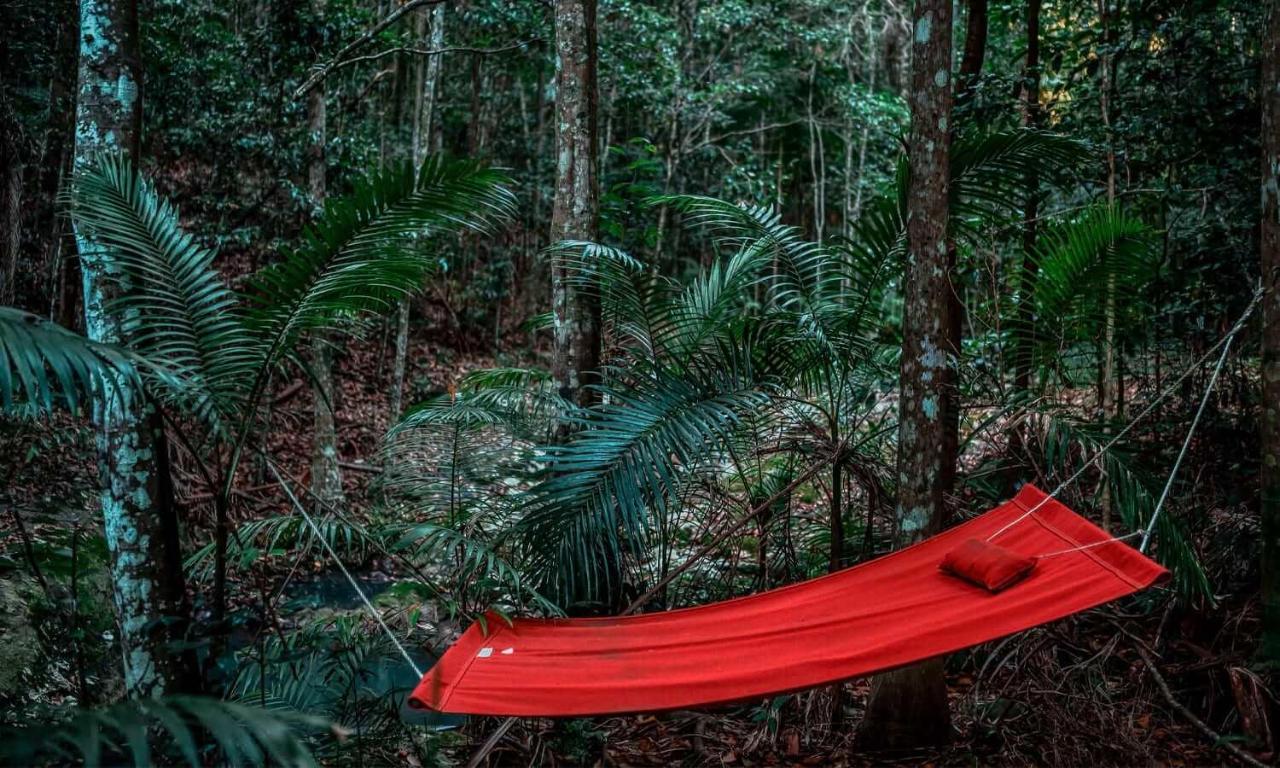 Narrows Escape Rainforest Retreat Montville Ngoại thất bức ảnh