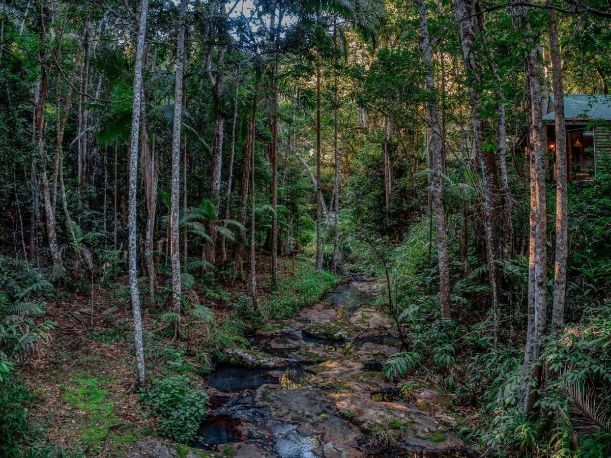 Narrows Escape Rainforest Retreat Montville Ngoại thất bức ảnh