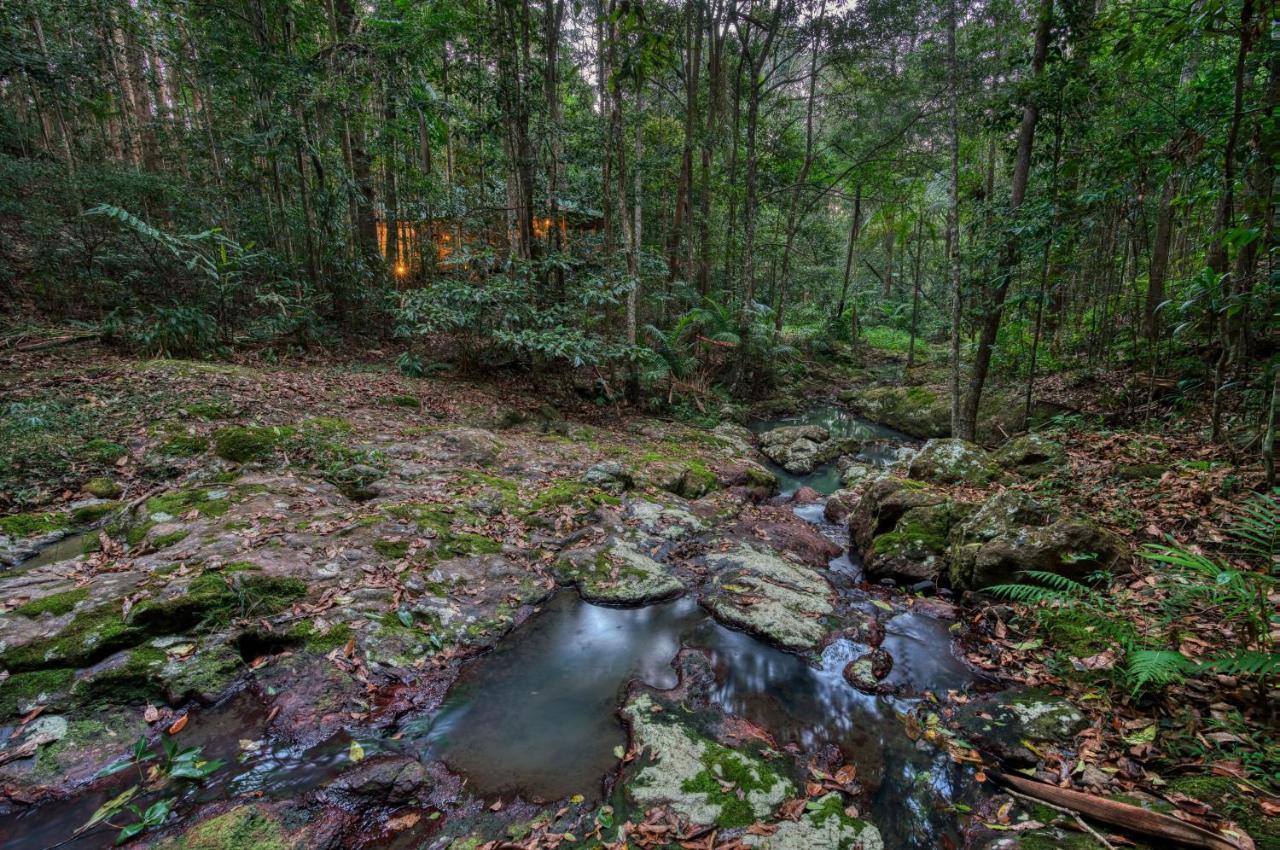 Narrows Escape Rainforest Retreat Montville Ngoại thất bức ảnh