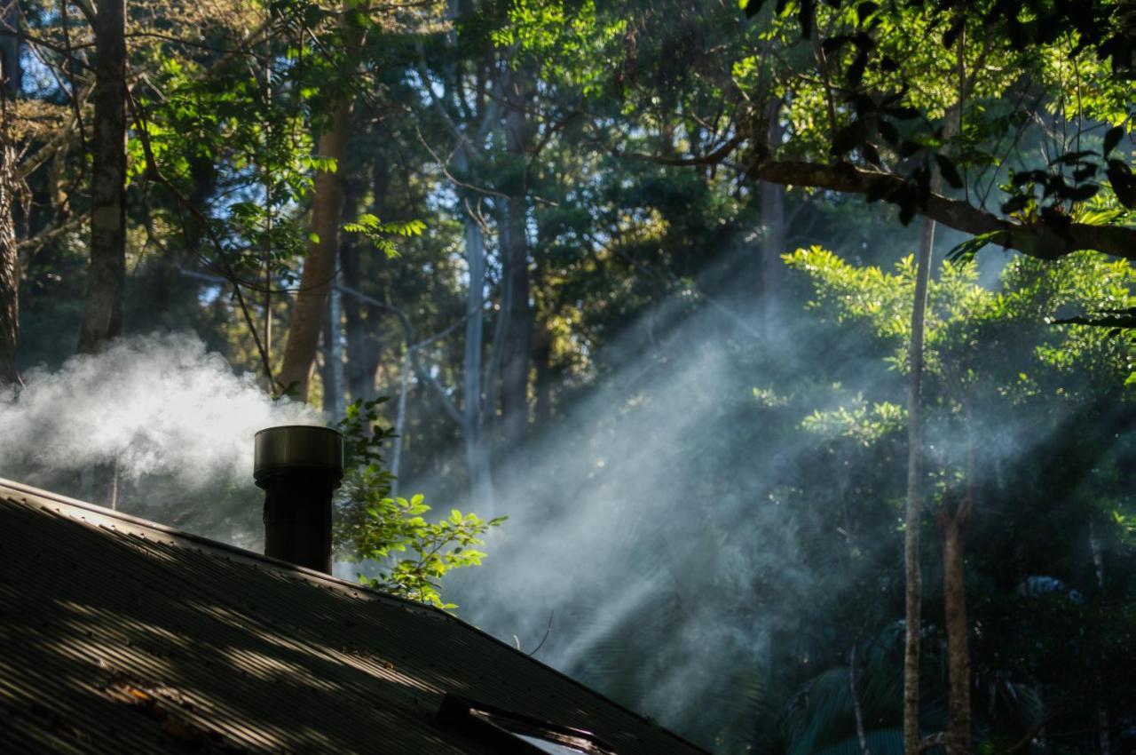Narrows Escape Rainforest Retreat Montville Ngoại thất bức ảnh