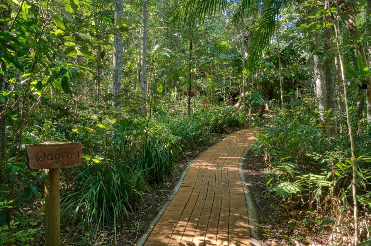 Narrows Escape Rainforest Retreat Montville Ngoại thất bức ảnh