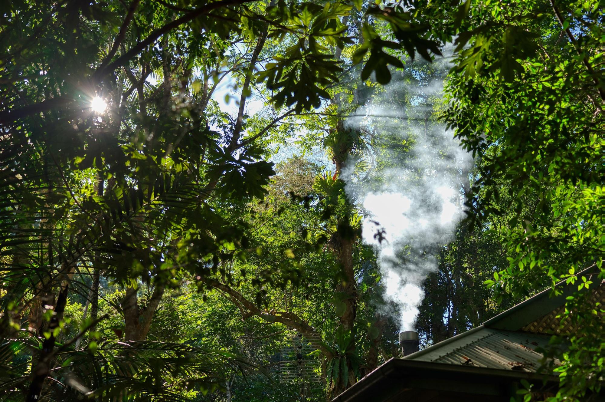 Narrows Escape Rainforest Retreat Montville Ngoại thất bức ảnh