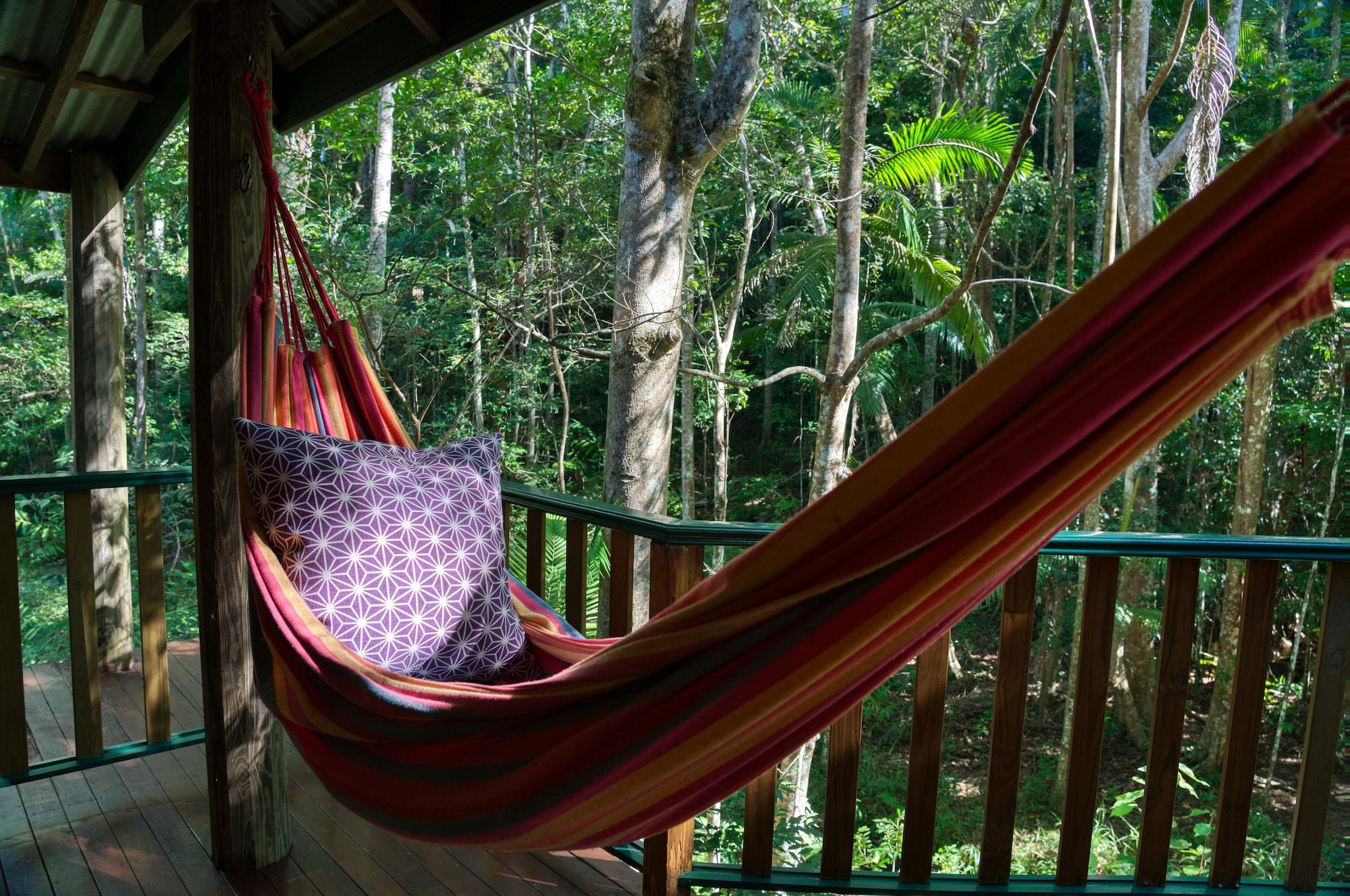 Narrows Escape Rainforest Retreat Montville Ngoại thất bức ảnh