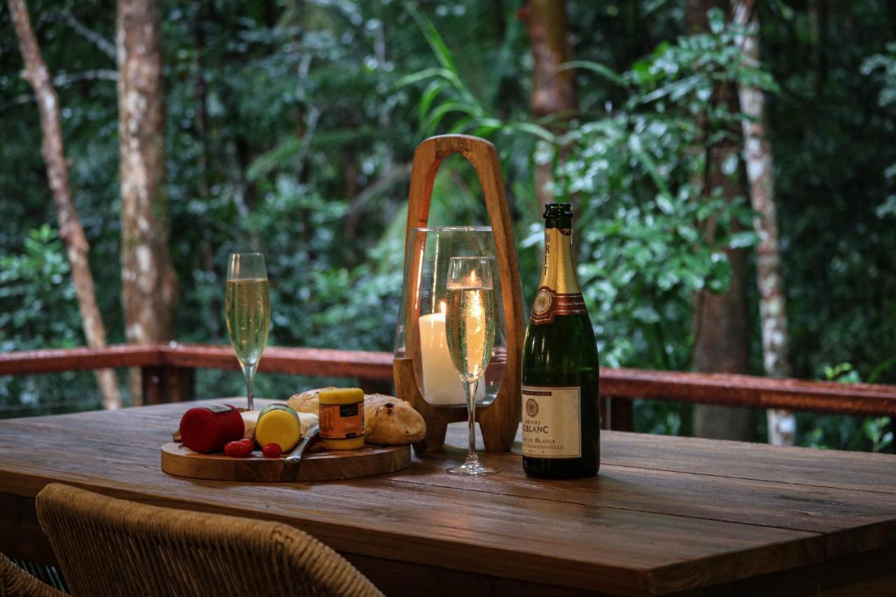 Narrows Escape Rainforest Retreat Montville Ngoại thất bức ảnh