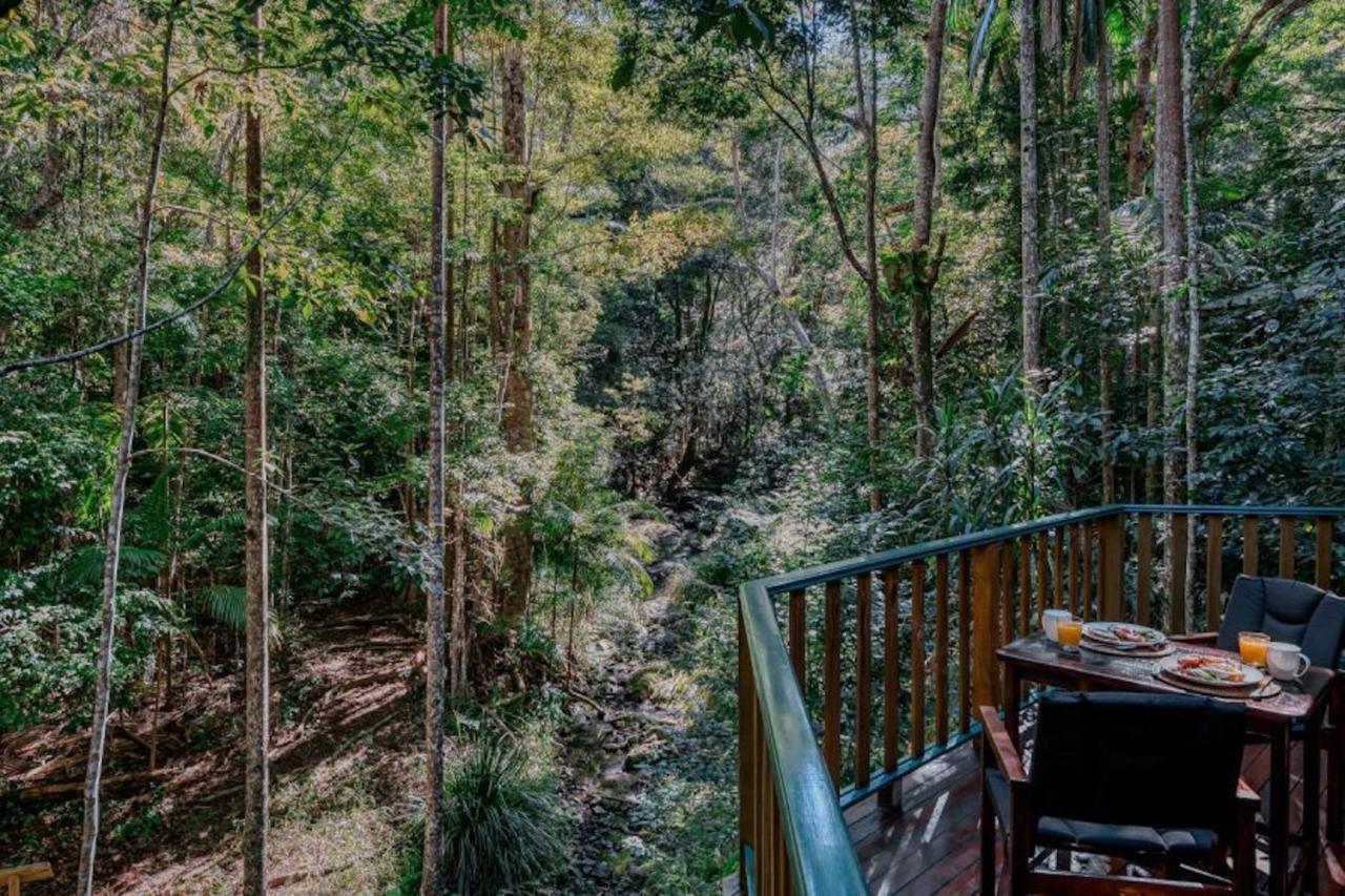 Narrows Escape Rainforest Retreat Montville Ngoại thất bức ảnh