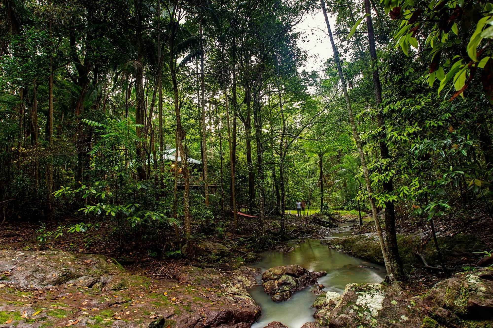 Narrows Escape Rainforest Retreat Montville Ngoại thất bức ảnh