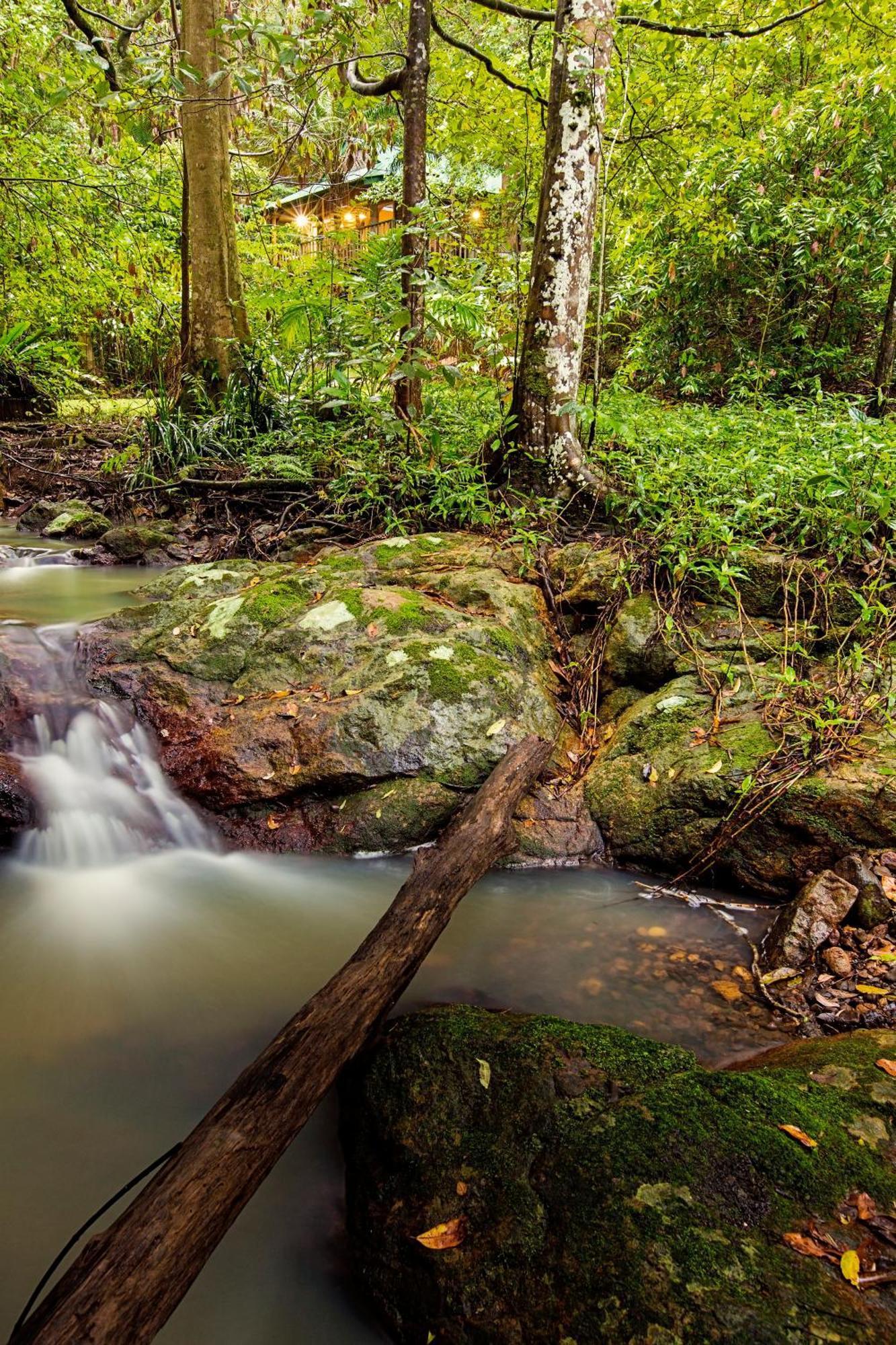 Narrows Escape Rainforest Retreat Montville Ngoại thất bức ảnh