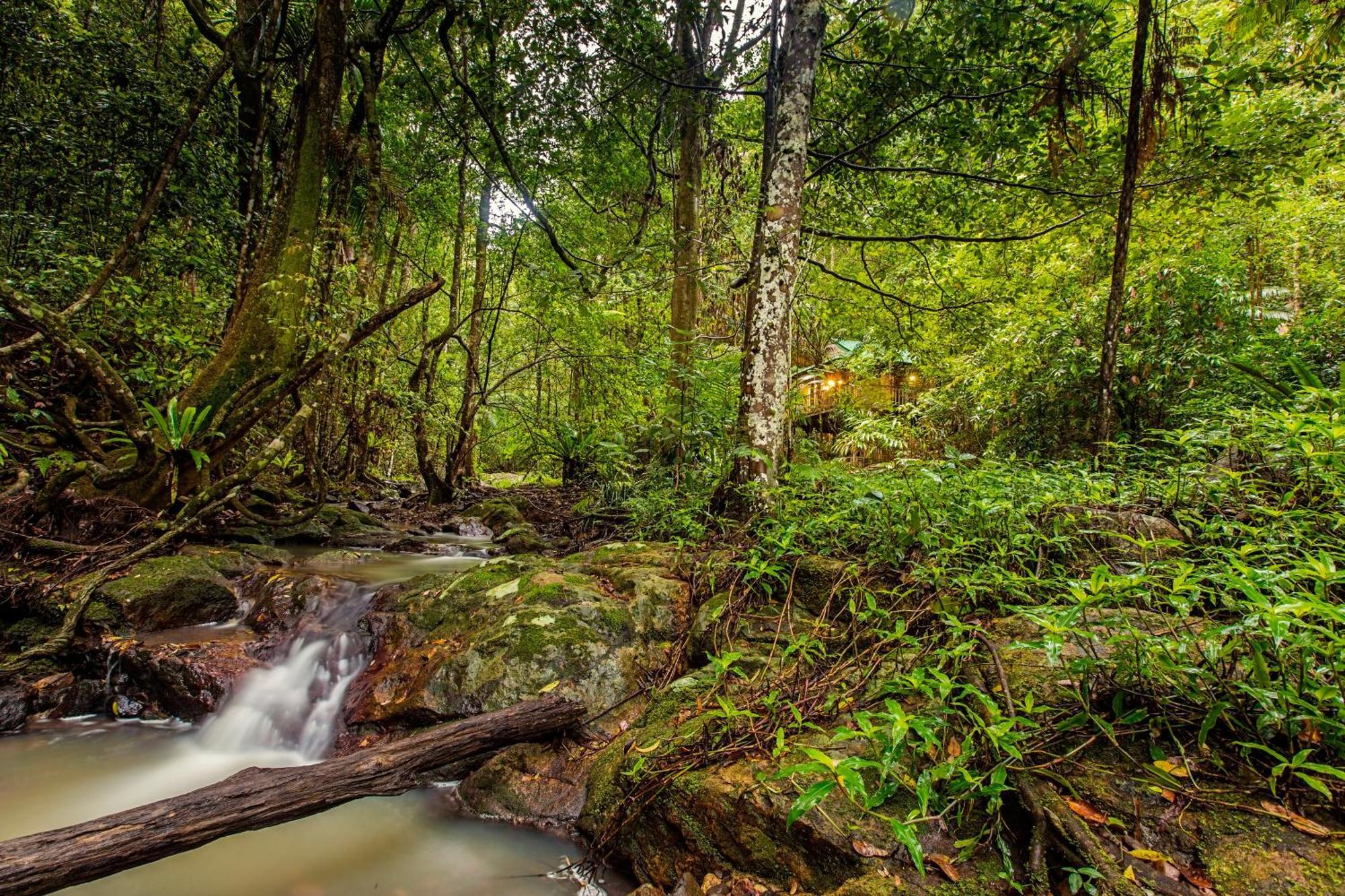 Narrows Escape Rainforest Retreat Montville Ngoại thất bức ảnh
