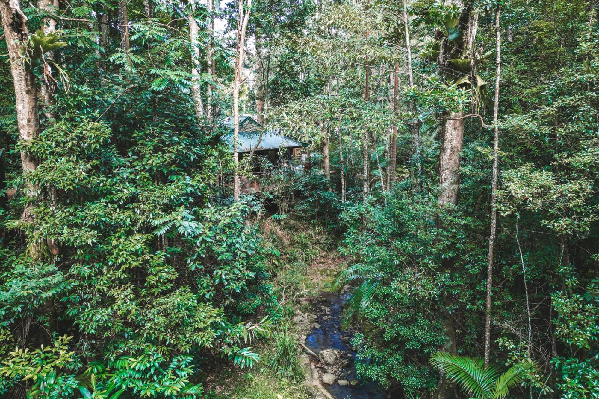 Narrows Escape Rainforest Retreat Montville Ngoại thất bức ảnh