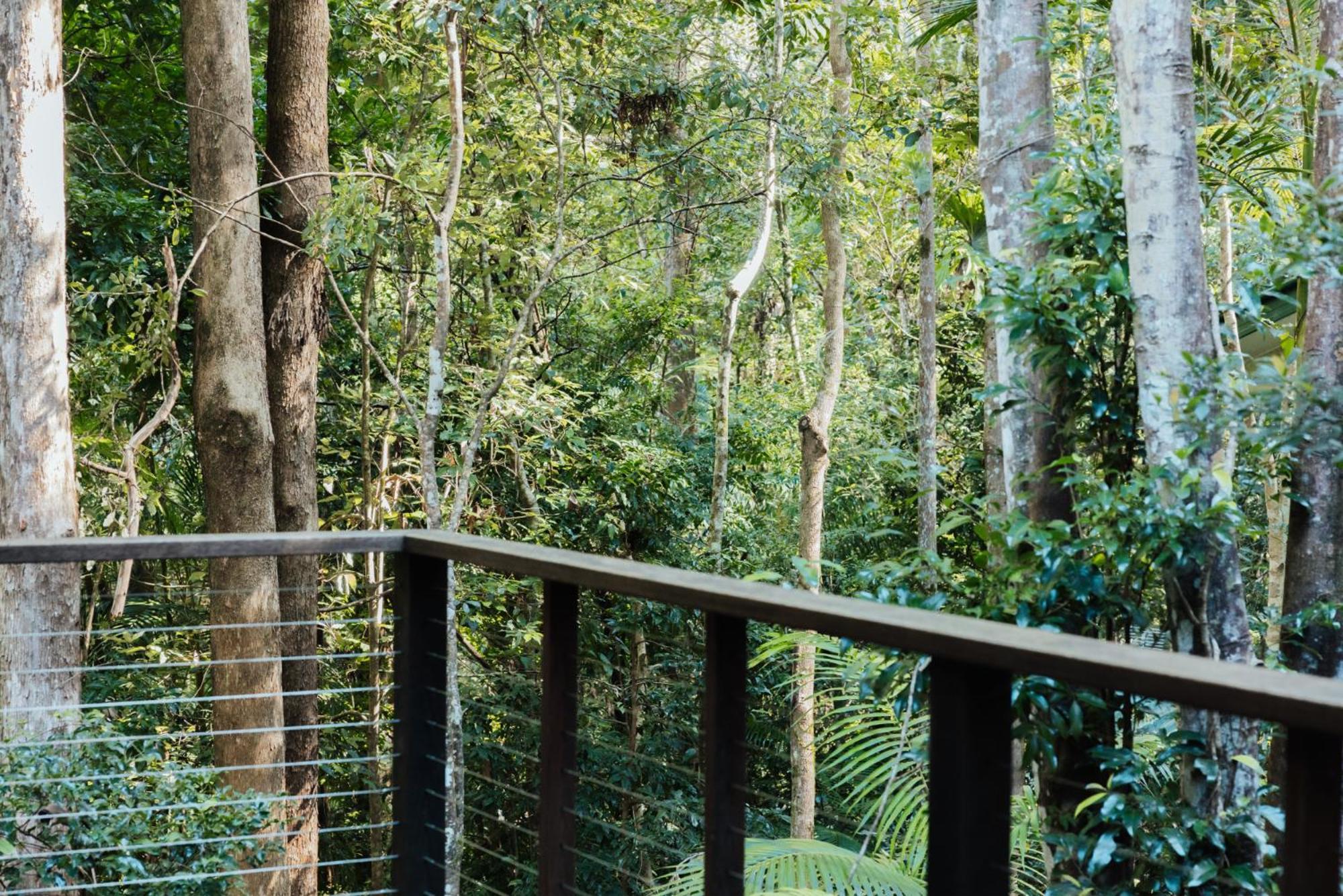 Narrows Escape Rainforest Retreat Montville Ngoại thất bức ảnh