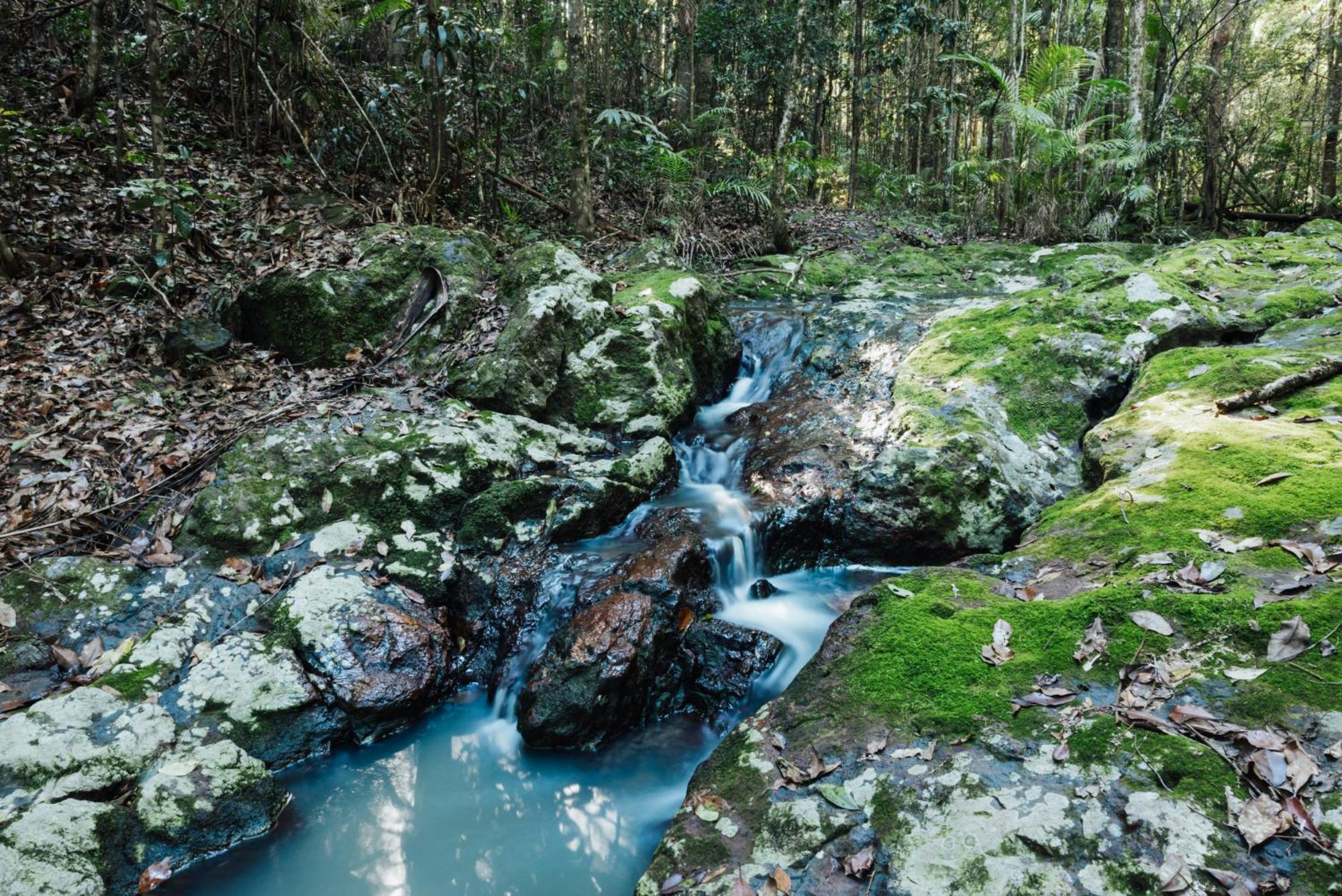 Narrows Escape Rainforest Retreat Montville Ngoại thất bức ảnh